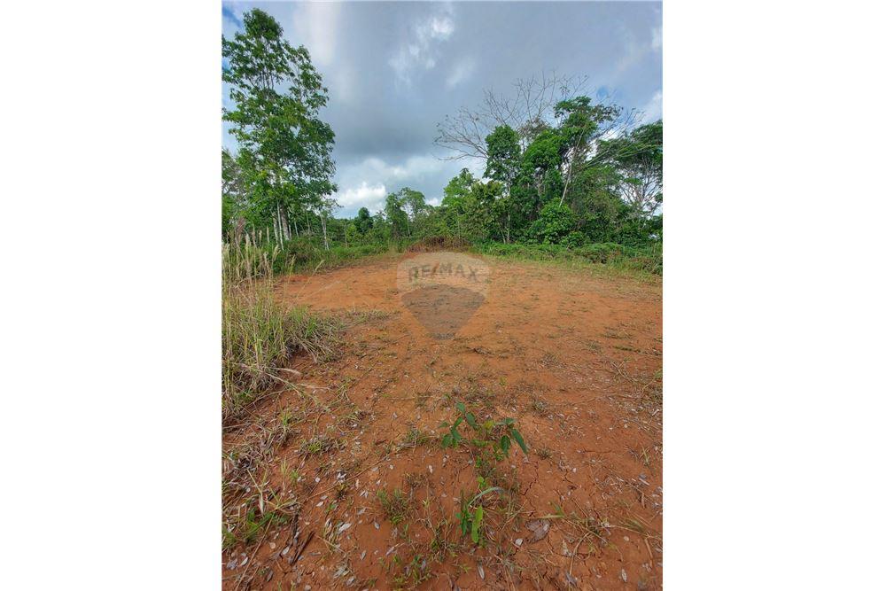 Surface commerciale - Autre terrain - San José, San José, Costa Rica - Caribbean & Central Ameri - 20 - 90168030-68