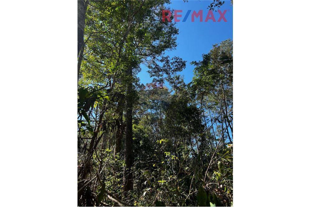 Land - For Sale - Poptún, Petén, Guatemala - 13 - 902691018-30