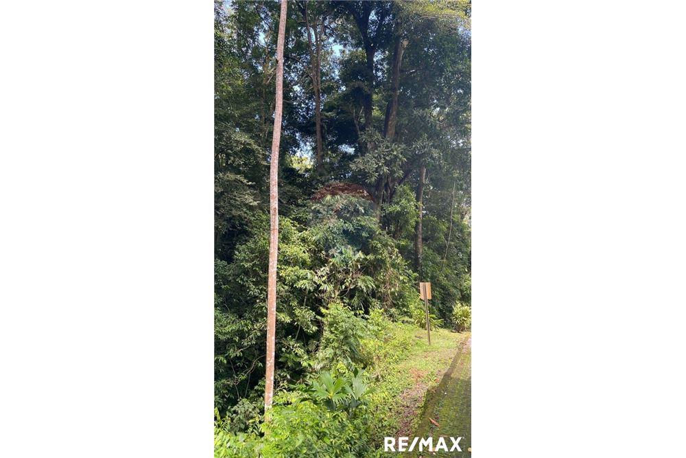 商业 - 土地 - Puntarenas, Puntarenas - Puntarenas, 哥斯达黎加 - Caribbean & Central Ameri - 4 - 90168045-15