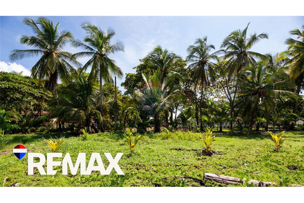 商业 - 土地 - Bejuco, Guanacaste - Nandayure, 哥斯达黎加 - Caribbean & Central Ameri - 16 - 90168013-177