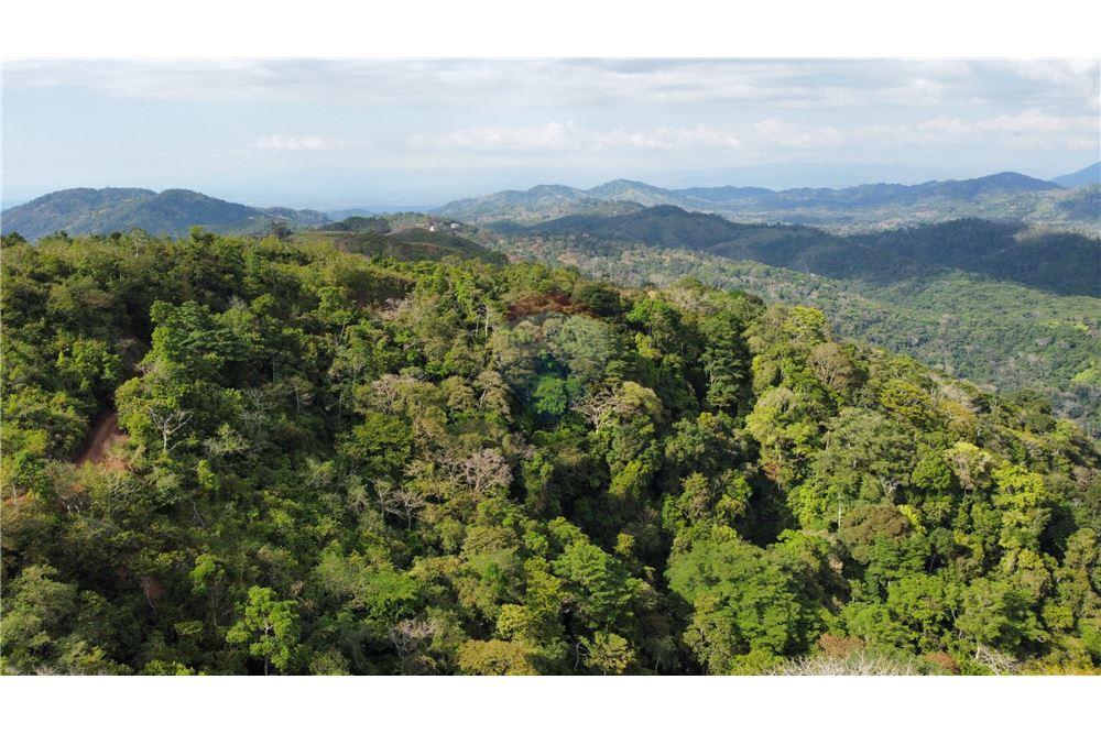 Surface commerciale - Autre terrain - San José, San José, Costa Rica - Caribbean & Central Ameri - 17 - 90168030-68