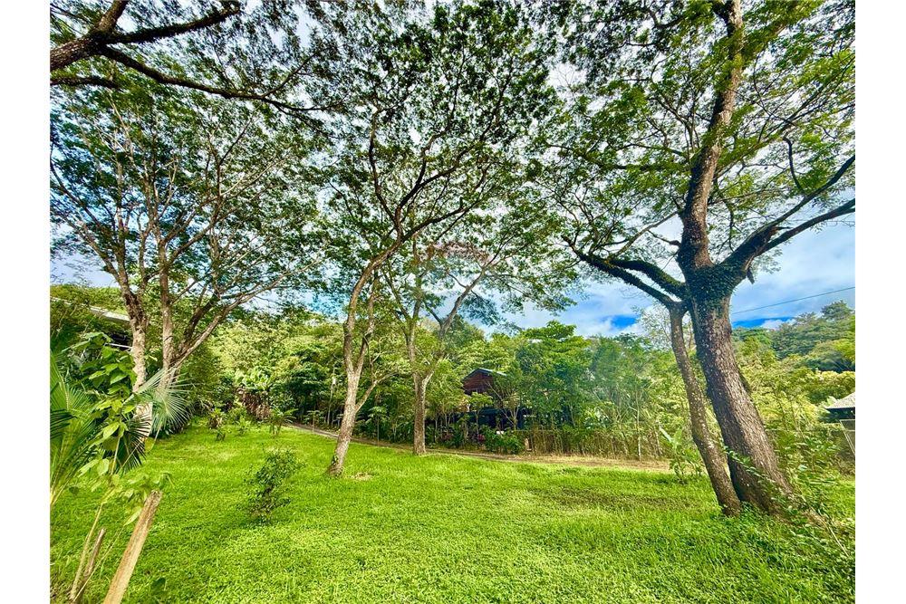 Comercial - Terreno - Jaco - Jaco, Puntarenas- Garabito, Costa Rica - Caribbean & Central Ameri - 1 - 90168015-207