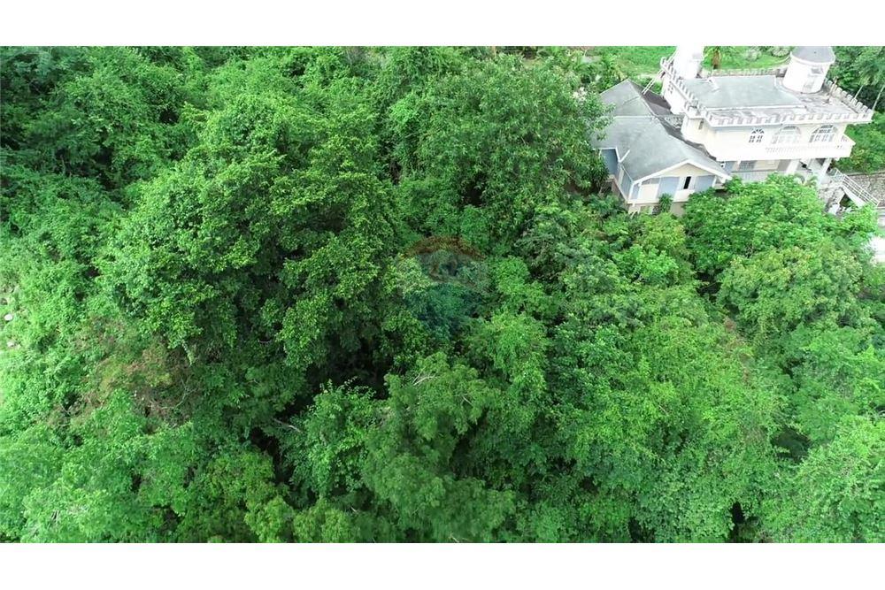 Villa - For Sale - Stony Hill, Saint Andrew, Jamaica - 1 - 901321004-1