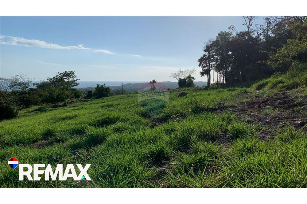 商业 - 土地 - Parrita - Esterillos, Puntarenas - Parrita, 哥斯达黎加 - Caribbean & Central Ameri - 13 - 90168013-172