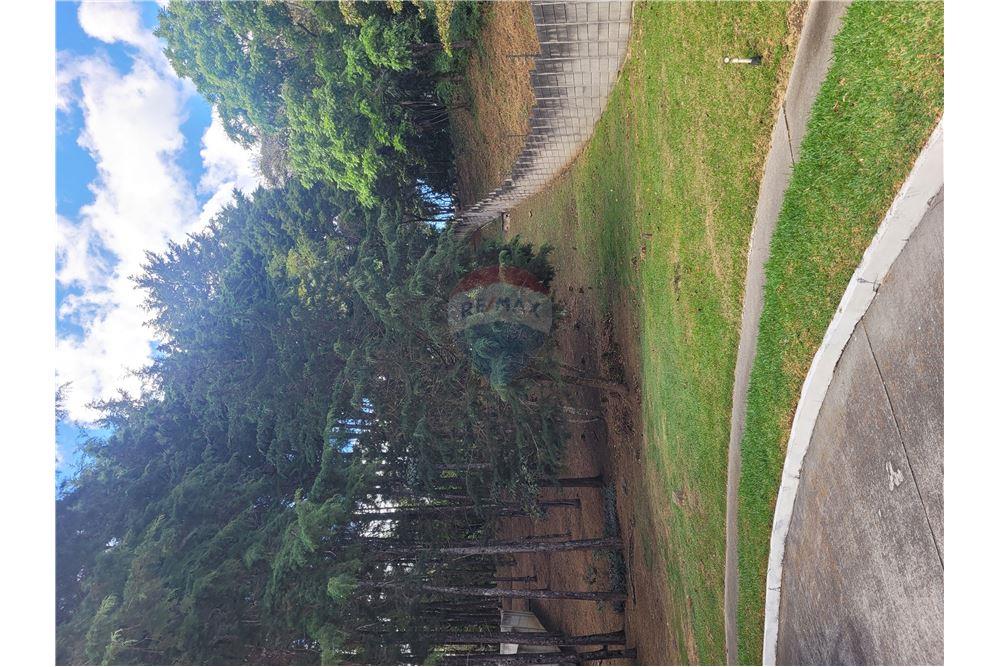 Land - For Sale - Fraijanes, Guatemala, Guatemala - 10 - 902091021-3