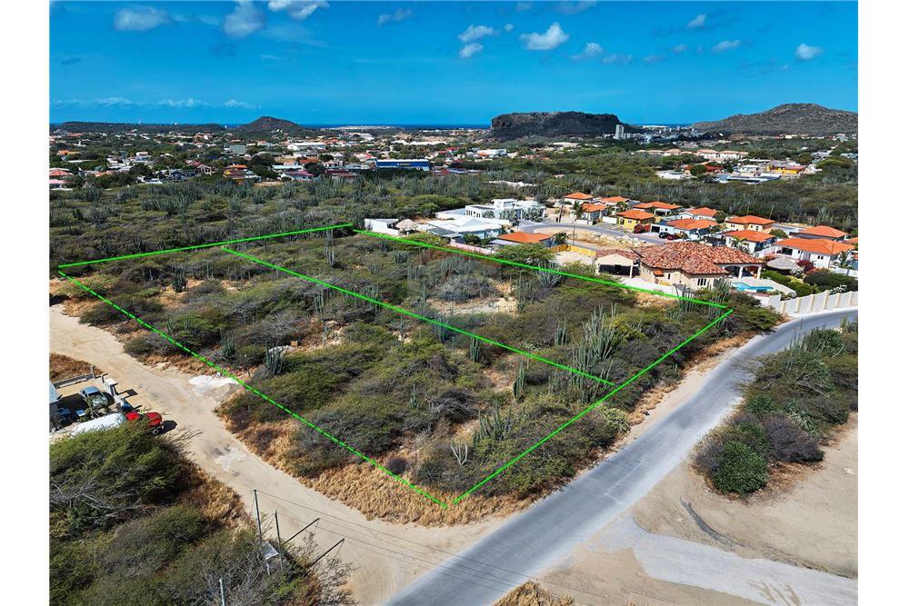 Land - For Sale - Santa Cruz, Aruba, Aruba - 6 - 90105005-512