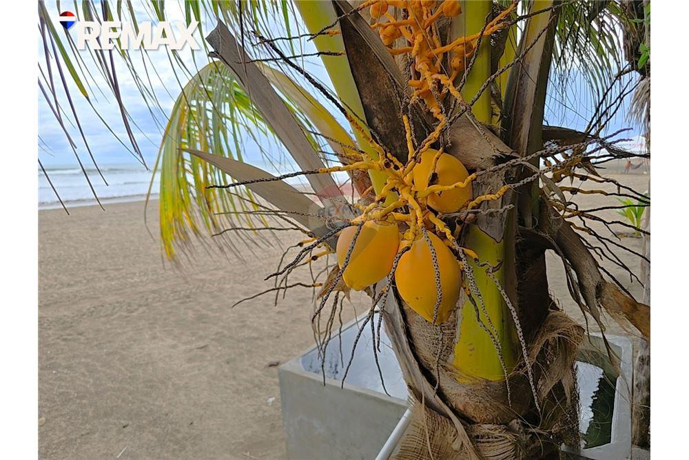 Commercial - Land - Masachapa, Managua, Nicaragua - Caribbean & Central Ameri - 15 - 90119010-82