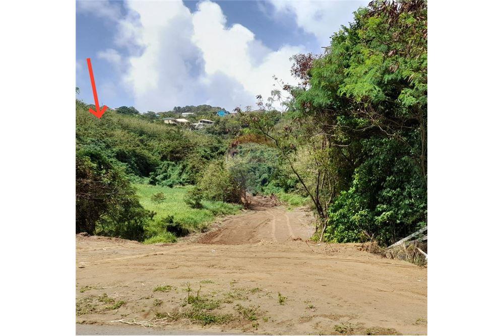 Comercial - Terrenos - Argyle, St Vincent, St Vincent and the Grenadines - Caribbean & Central Ameri - 3 - 90109001-309