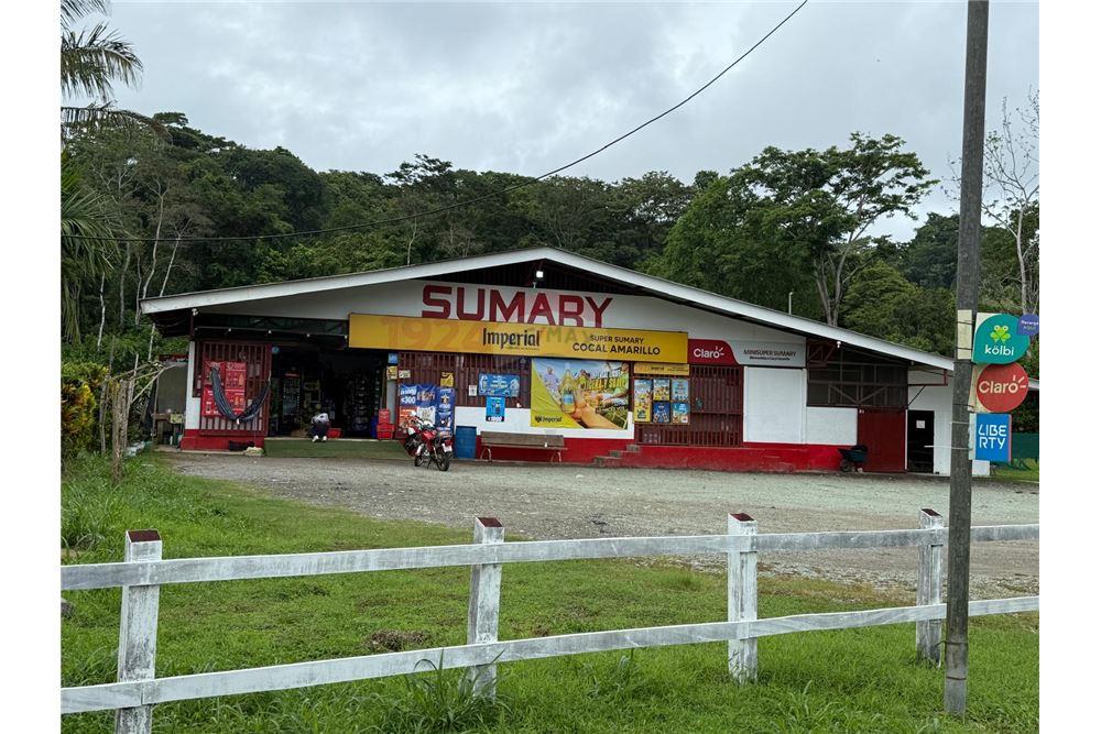 Commercio - Terreno - Puntarenas, Puntarenas - Puntarenas, Costa Rica - Caribbean & Central Ameri - 4 - 90168026-85
