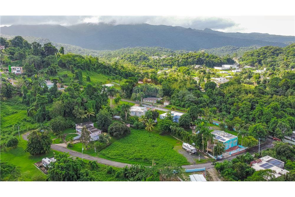 Commercial - Land - Rio Grande, Rio Grande, Puerto Rico - Caribbean & Central Ameri - 4 - 902461007-22