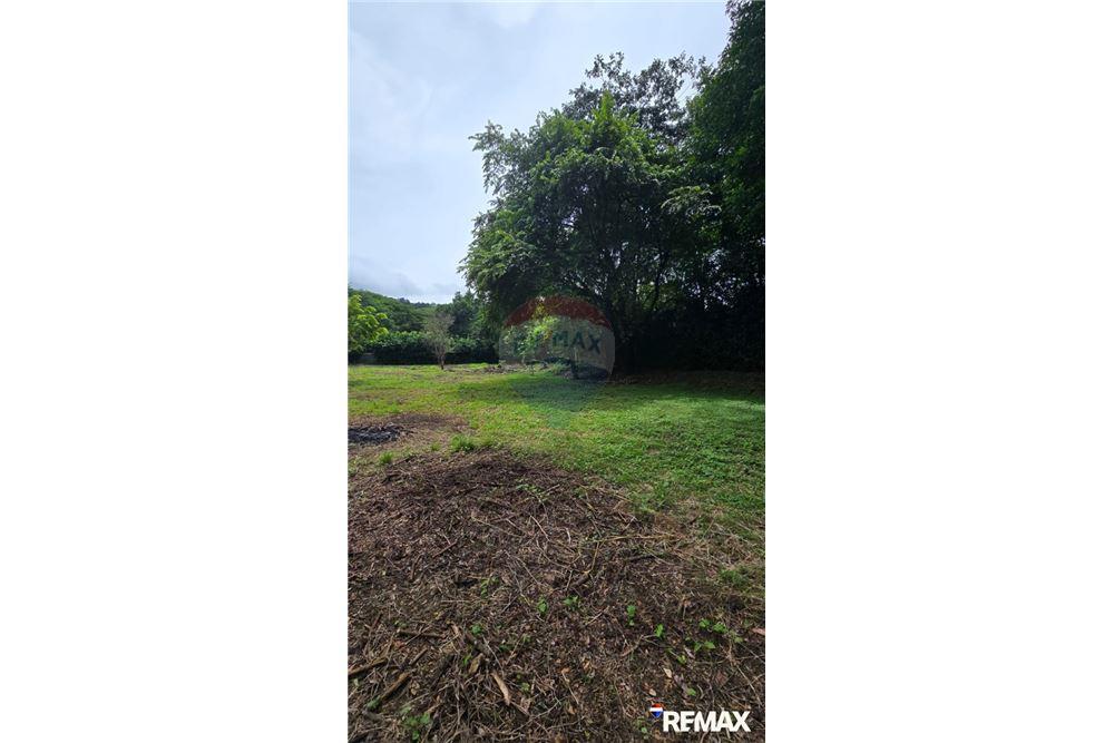 Commercial - Land - Jaco - Playa Hermosa, Puntarenas- Garabito, Costa Rica - Caribbean & Central Ameri - 7 - 90168005-700