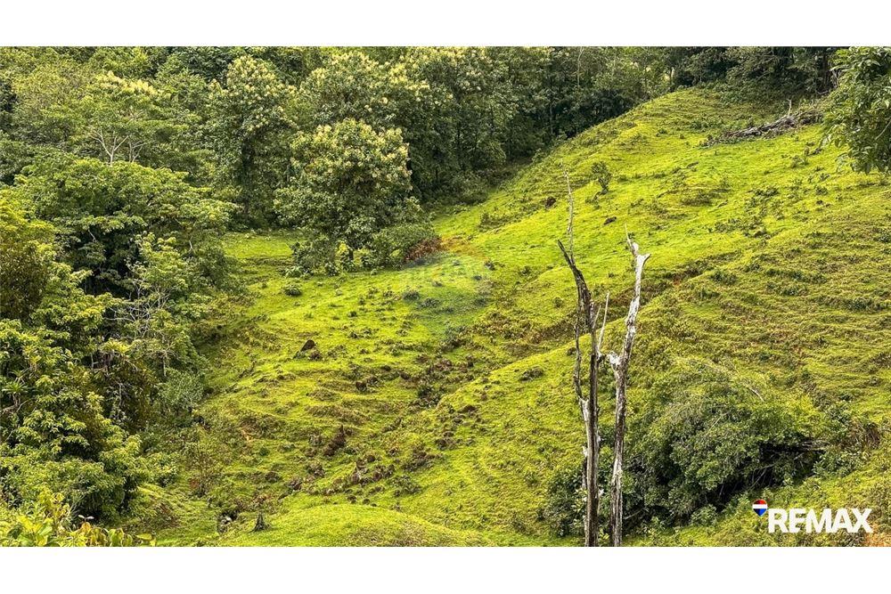 Comercial - Terreno - Parrita, Puntarenas - Parrita, Costa Rica - Caribbean & Central Ameri - 22 - 90168003-467