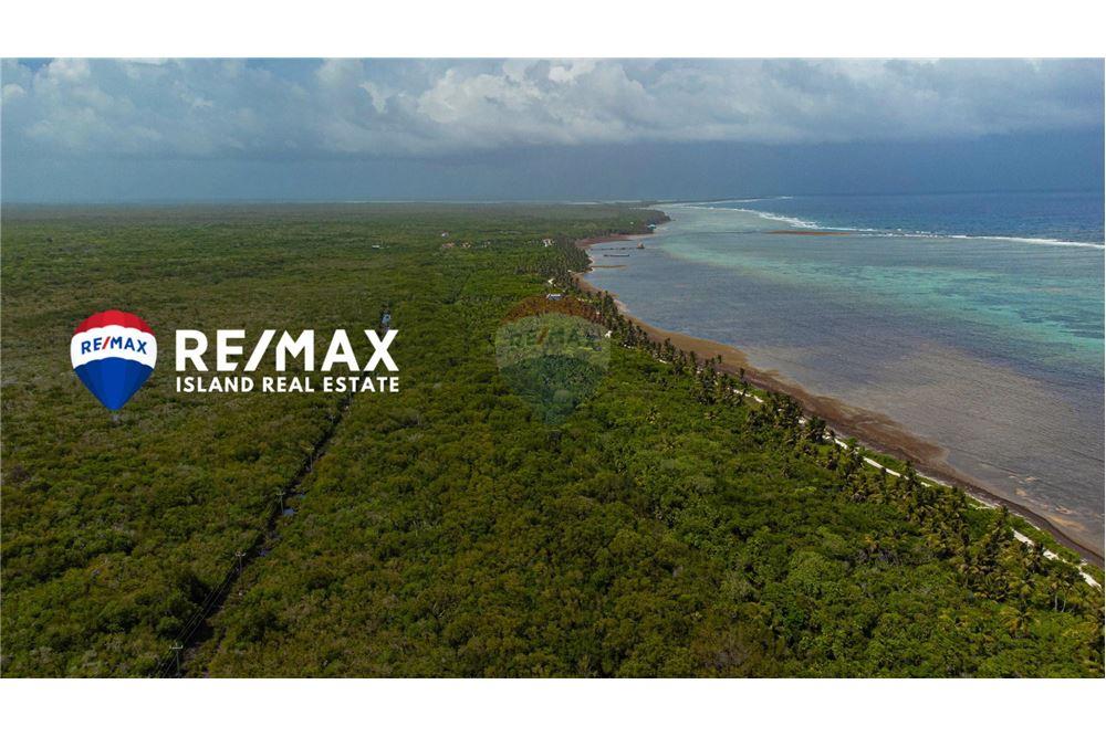 Commercial - Land - Ambergris Caye, Ambergris Caye, Belize - Caribbean & Central Ameri - 7 - 90135015-93