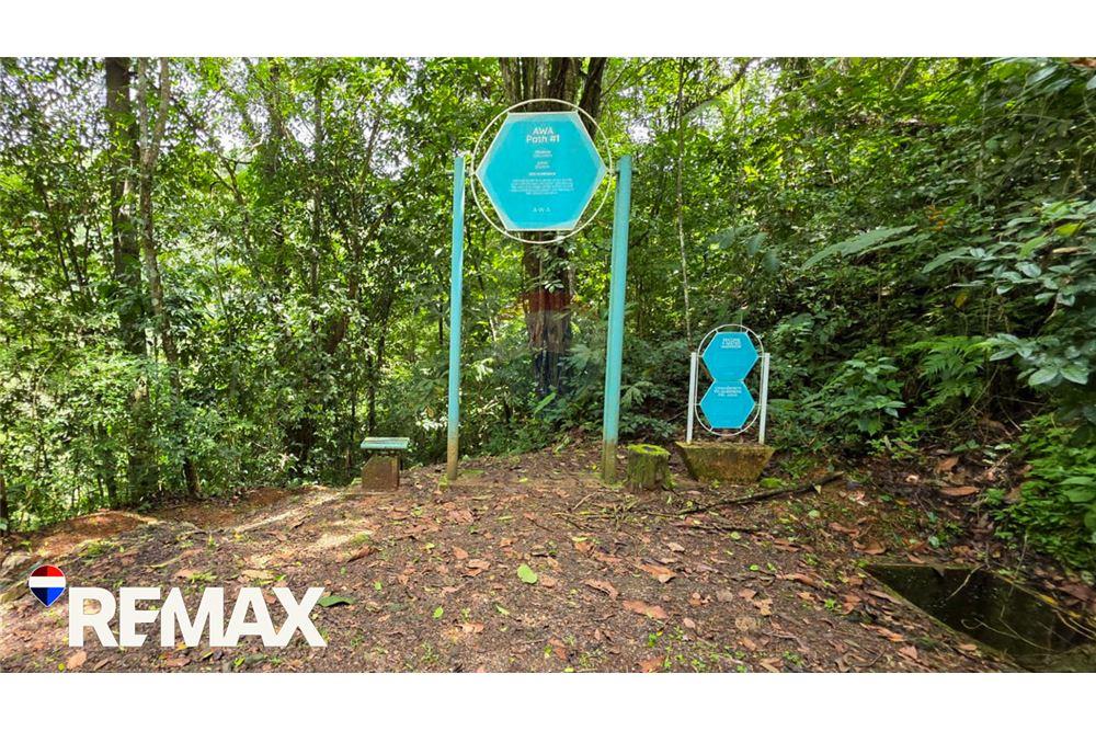 商业 - 土地 - San José, San José, 哥斯达黎加 - Caribbean & Central Ameri - 14 - 90168013-174