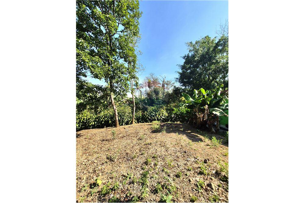 Commercial - Land - Atenas, Alajuela- Atenas, Costa Rica - Caribbean & Central Ameri - 3 - 90128007-165
