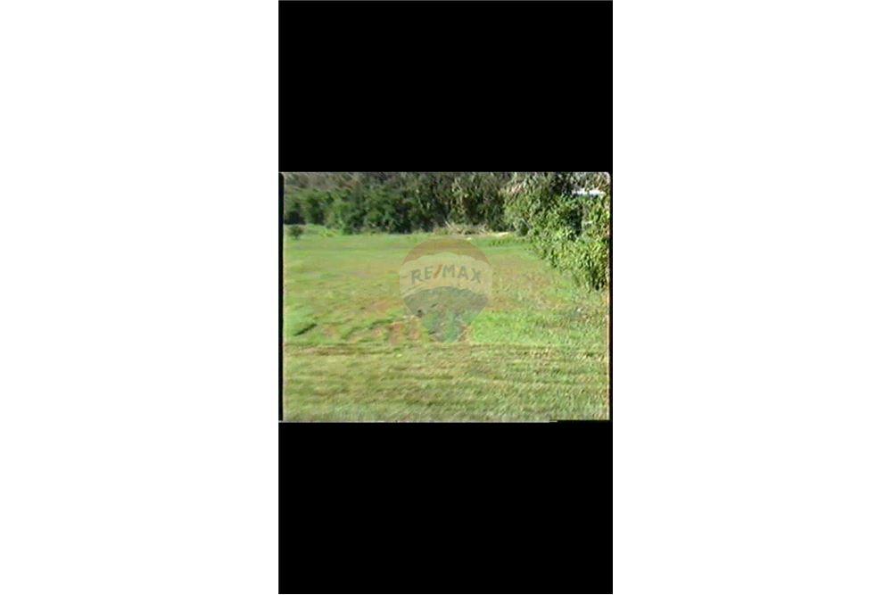 Land - For Sale - Dorado, Dorado, Puerto Rico - 13 - 90102025-331