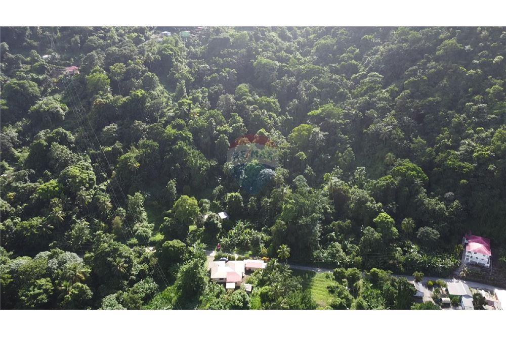 Commercial - Land - Soufrière, Soufrière, St Lucia - Caribbean & Central Ameri - 9 - 902071001-217