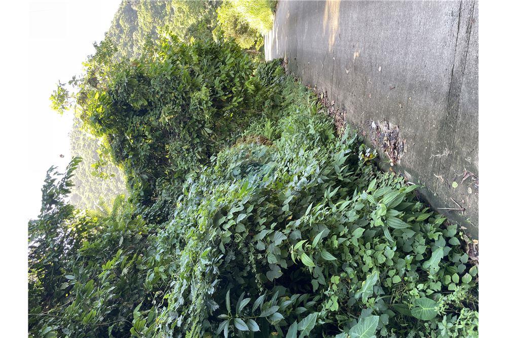 Commercial - Land - Soufrière, Soufrière, St Lucia - Caribbean & Central Ameri - 25 - 902071001-217