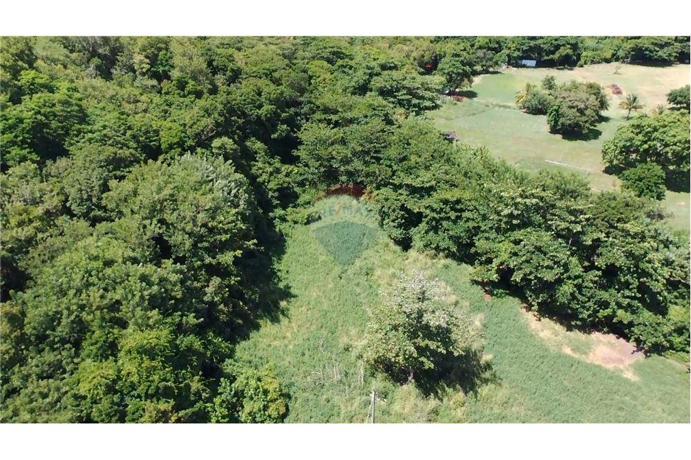 Commercial - Land - Prospect, St Vincent, St Vincent and the Grenadines - Caribbean & Central Ameri - 4 - 90109004-61