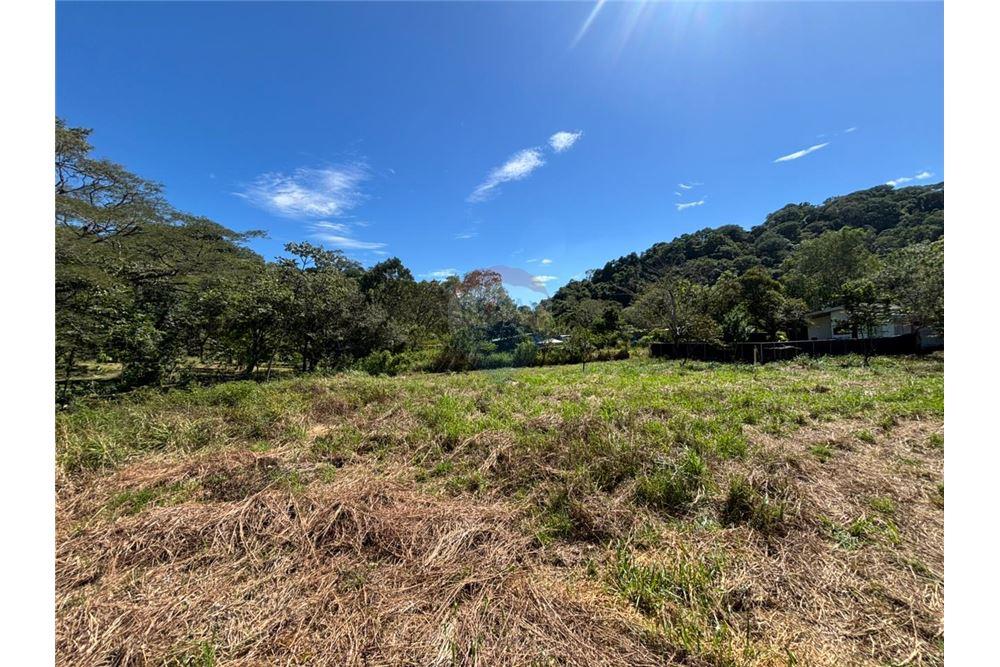 Comercial - Terreno - Atenas, Alajuela- Atenas, Costa Rica - Caribbean & Central Ameri - 27 - 90128002-998