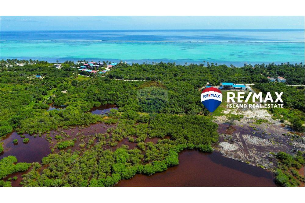 Commercial - Land - Ambergris Caye, Ambergris Caye, Belize - Caribbean & Central Ameri - 4 - 90135024-5