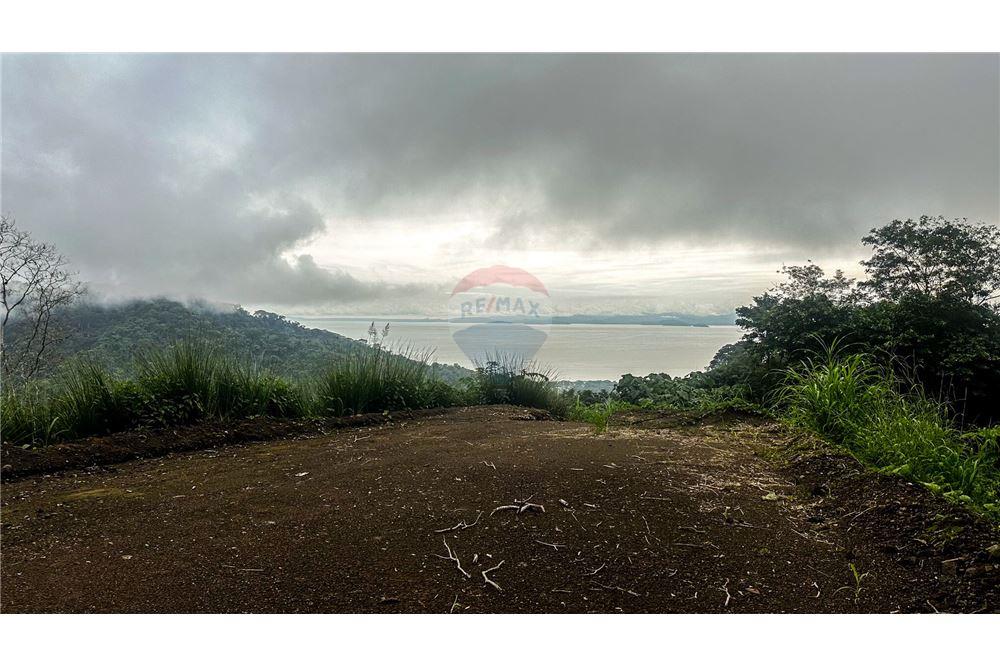 Commercial - Land - Jaco - Jaco, Puntarenas- Garabito, Costa Rica - Caribbean & Central Ameri - 5 - 90168016-217