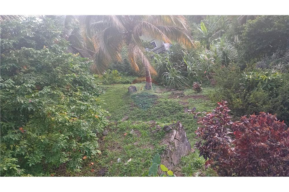 商业 - 土地 - Gomea, St Vincent, St Vincent and the Grenadines - Caribbean & Central Ameri - 7 - 90109008-7