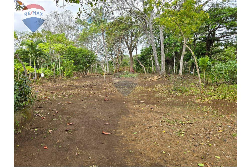 Commercial - Land - Nandaime, Granada, Nicaragua - Caribbean & Central Ameri - 6 - 90119010-73
