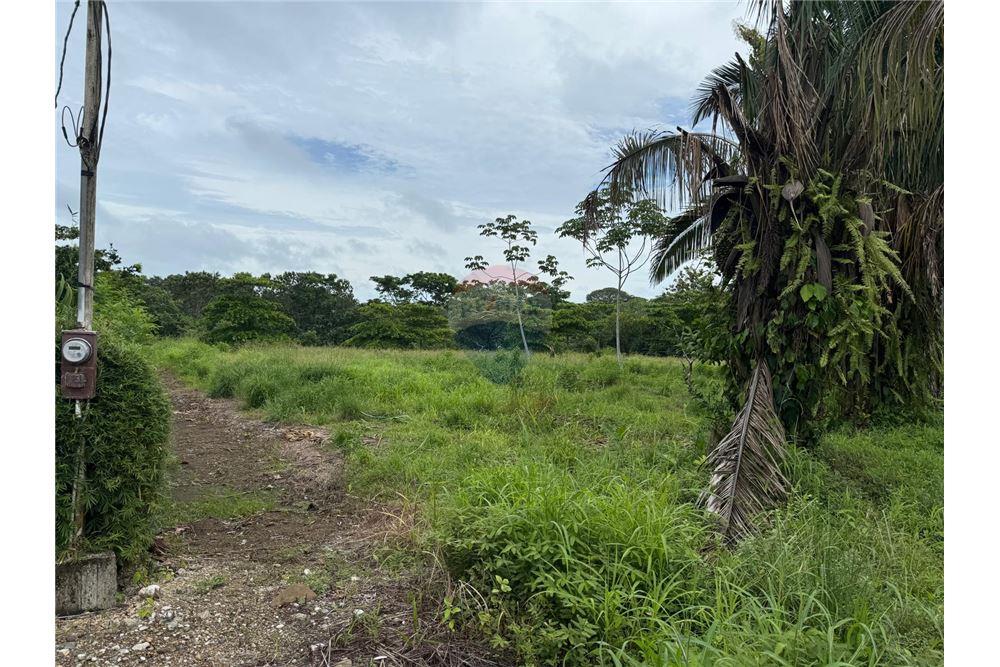 Commercio - Terreno - Puntarenas, Puntarenas - Puntarenas, Costa Rica - Caribbean & Central Ameri - 7 - 90168026-85