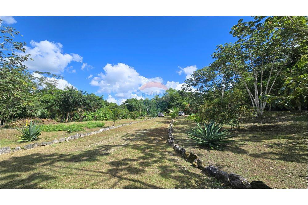Residential - Villa - Bullet Tree Falls, Cayo District, Belize - Caribbean & Central Ameri - 12 - 901411005-164