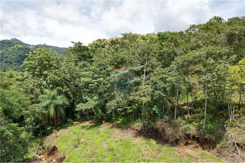 Commercial - Land - Atenas, Alajuela- Atenas, Costa Rica - Caribbean & Central Ameri - 4 - 90128007-183