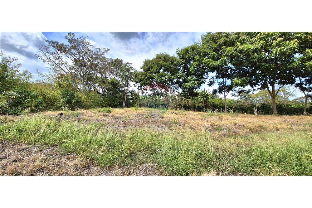 Commercieel - Grond - Atenas, Alajuela- Atenas, Costa Rica - Caribbean & Central Ameri - 3 - 90128007-198