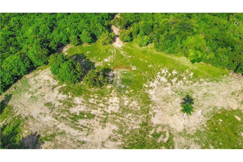 Commercial - Land - Rio Grande, Rio Grande, Puerto Rico - Caribbean & Central Ameri - 1 - 902461007-23