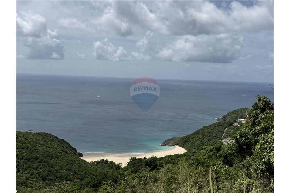 Land - For Sale - Trunk Bay, Tortola North Central, British Virgin Islands - 3 - 90134005-310