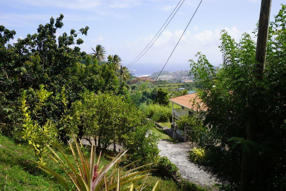 住宅 - 别墅 - Biabou, St Vincent, St Vincent and the Grenadines - Caribbean & Central Ameri - 3 - 90109001-310