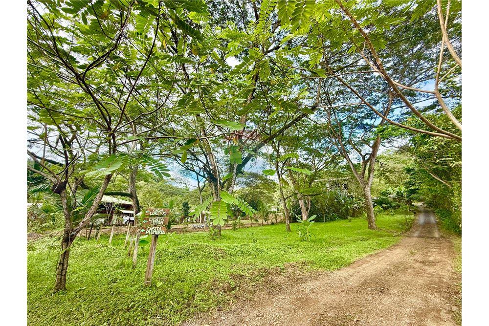 Commercial - Land - Jaco - Jaco, Puntarenas- Garabito, Costa Rica - Caribbean & Central Ameri - 10 - 90168015-205