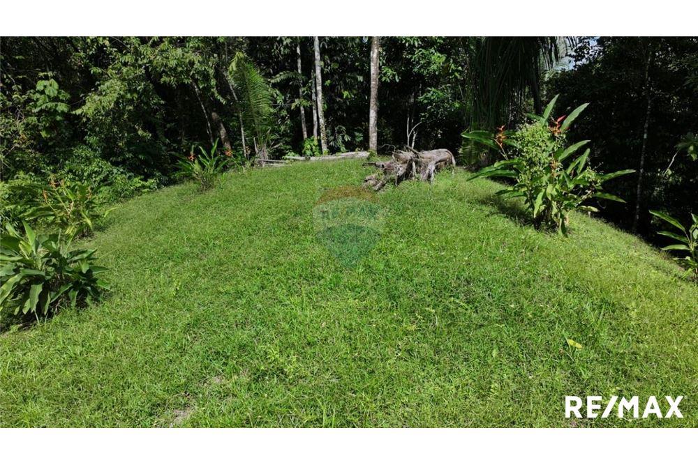 Comercial - Terreno - Parrita, Puntarenas - Parrita, Costa Rica - Caribbean & Central Ameri - 19 - 90168045-21