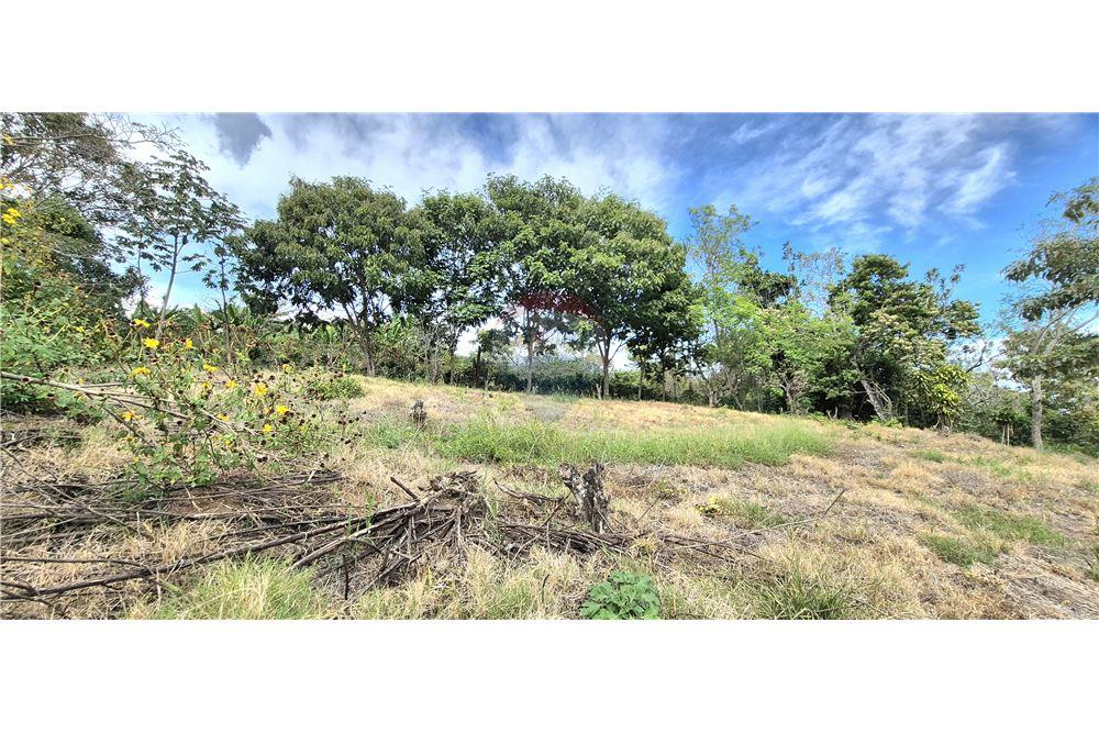 Commercieel - Grond - Atenas, Alajuela- Atenas, Costa Rica - Caribbean & Central Ameri - 6 - 90128007-198