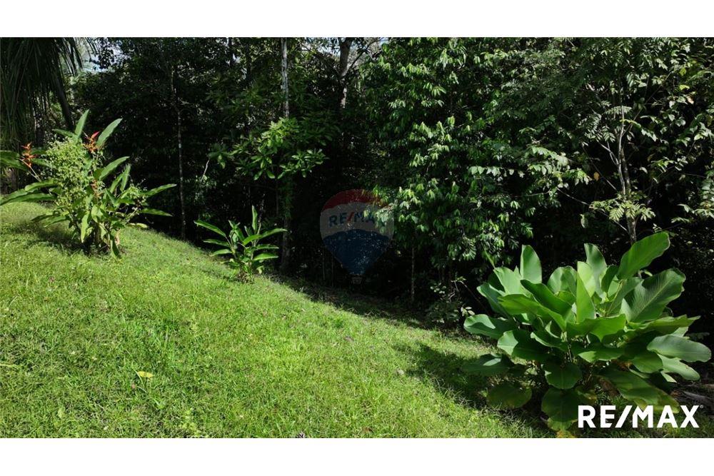 Comercial - Terreno - Parrita, Puntarenas - Parrita, Costa Rica - Caribbean & Central Ameri - 13 - 90168045-21
