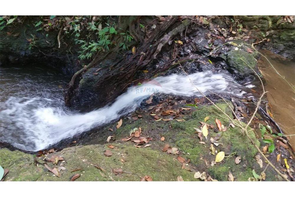 Surface commerciale - Autre terrain - San José, San José, Costa Rica - Caribbean & Central Ameri - 26 - 90168030-68