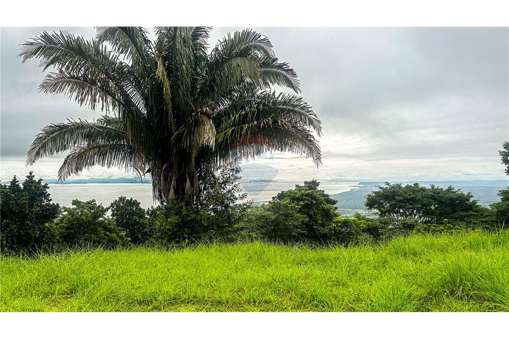Commercial - Land - Jaco - Jaco, Puntarenas- Garabito, Costa Rica - Caribbean & Central Ameri - 5 - 90168016-216