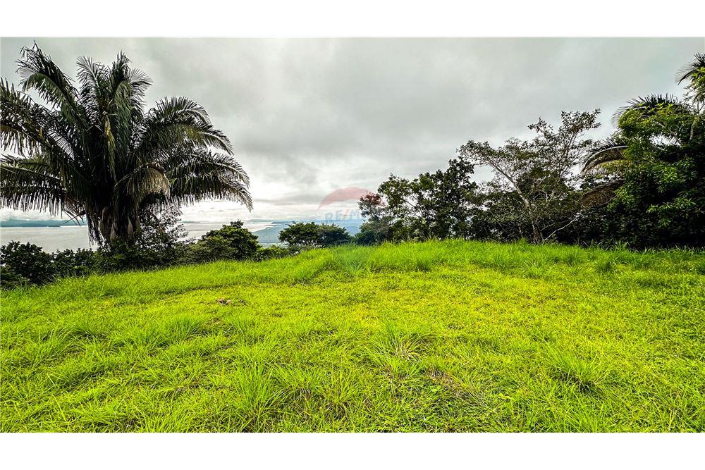 Commercial - Land - Jaco - Jaco, Puntarenas- Garabito, Costa Rica - Caribbean & Central Ameri - 7 - 90168016-216