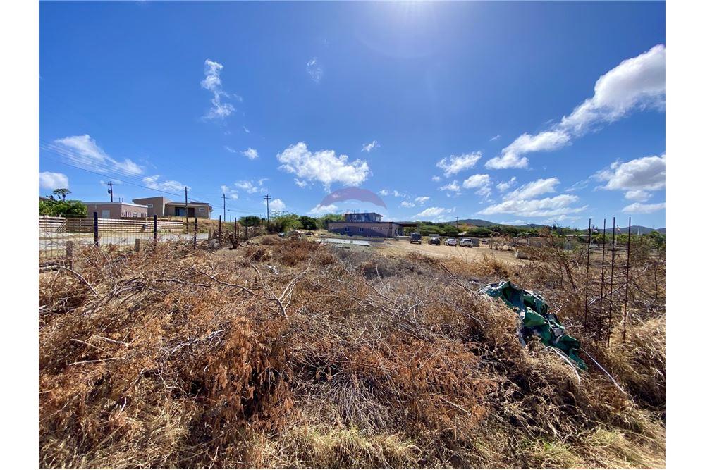 Land - For Sale - Santa Cruz, Aruba, Aruba - 55212 - 90105001-163