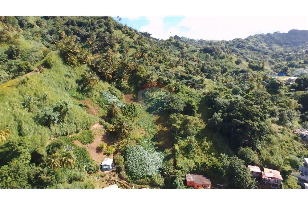 商业 - 土地 - Lowmans Windward, St Vincent, St Vincent and the Grenadines - Caribbean & Central Ameri - 1 - 90109001-320