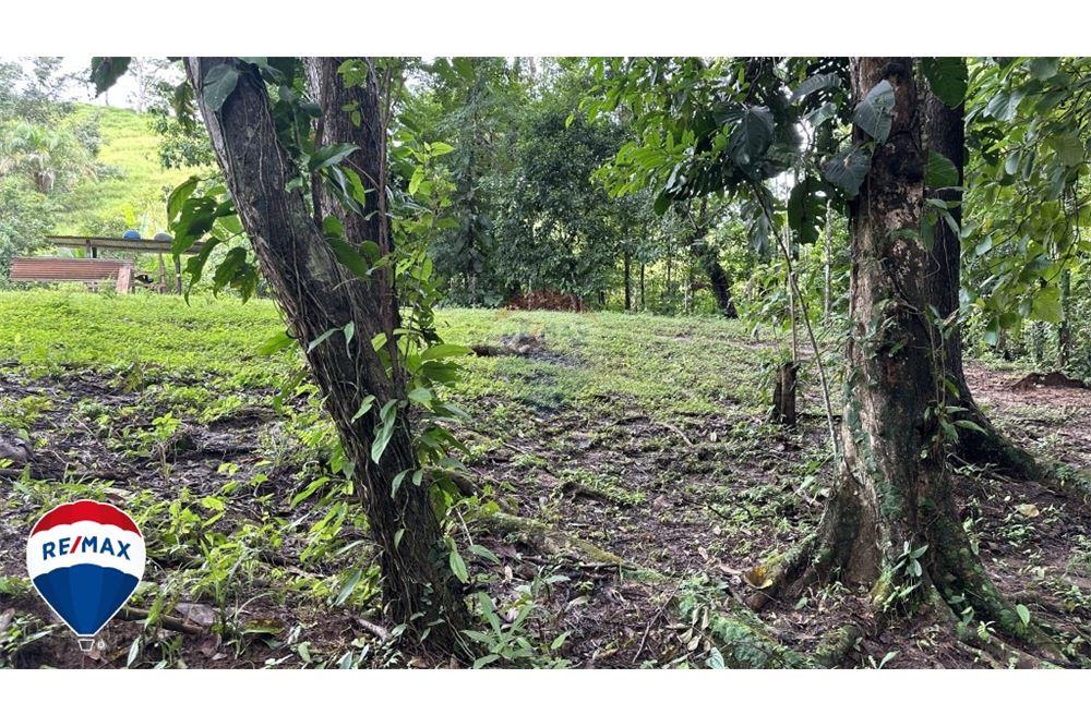 Commercio - Terreno - San José, San José, Costa Rica - Caribbean & Central Ameri - 11 - 90168030-67