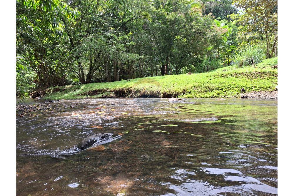 住宅 - 多户住宅 - Puntarenas, Puntarenas - Puntarenas, 哥斯达黎加 - Caribbean & Central Ameri - 18 - 90168039-34