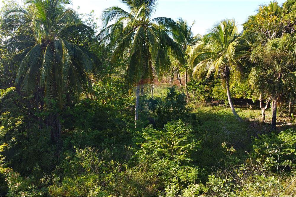 Comercial - Terrenos - Corozal Town, Corozal District, Belize - Caribbean & Central Ameri - 4 - 901411007-93