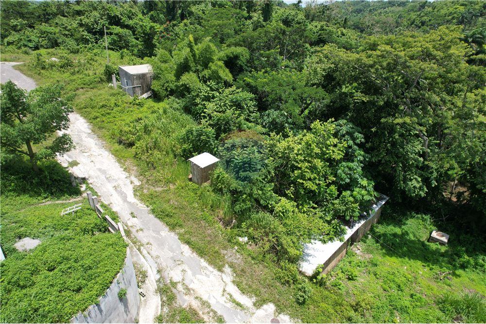 Land - For Sale - Lucea, Hanover Parish, Jamaica - 5 - 902421019-7