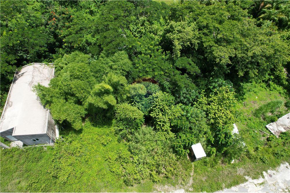 Land - For Sale - Lucea, Hanover Parish, Jamaica - 6 - 902421019-7