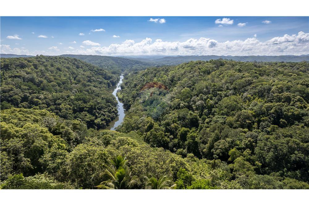 Commercial - Land - San Ignacio, Cayo District, Belize - Caribbean & Central Ameri - 2 - 90135020-3